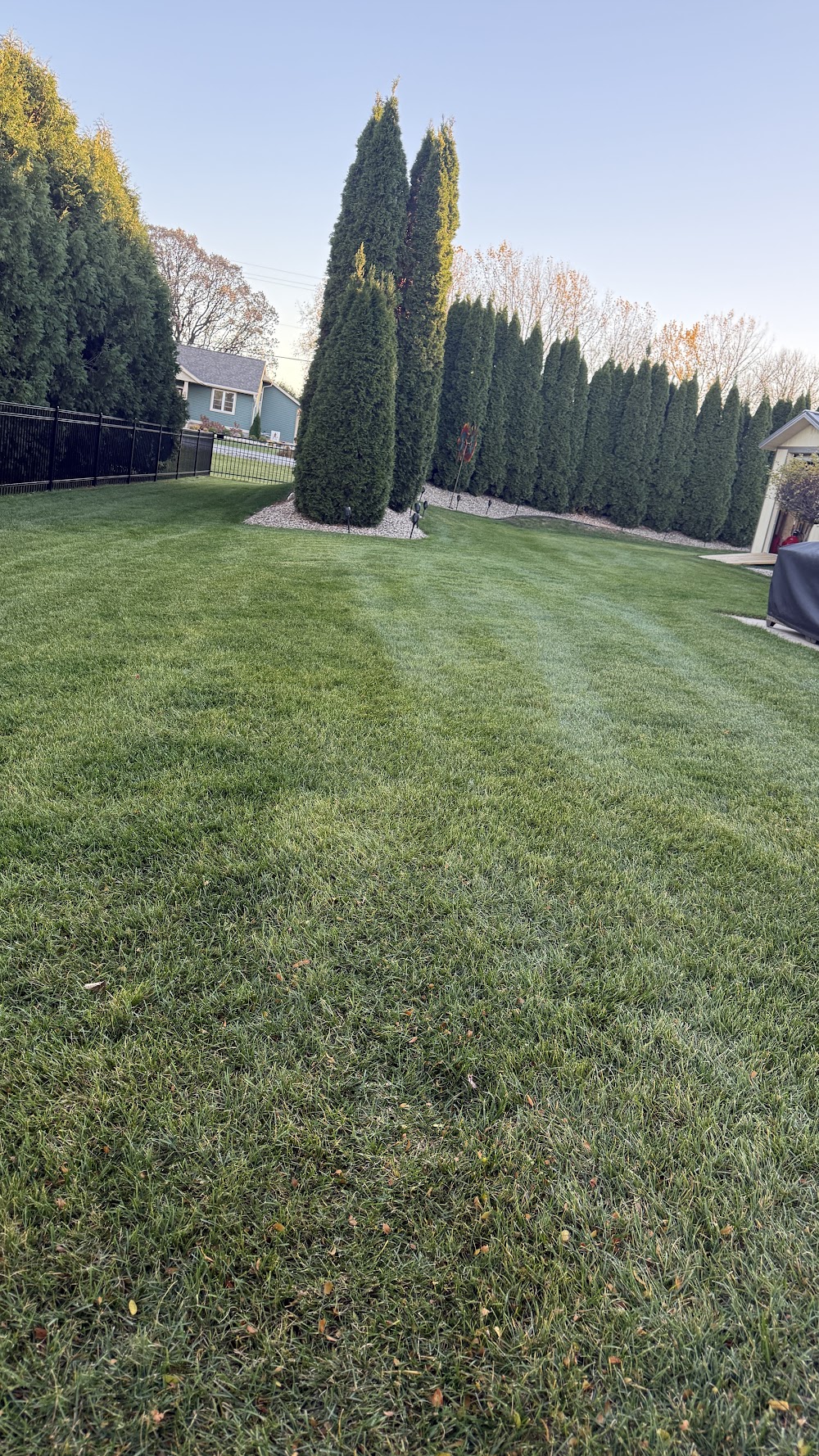 Complete Yard Maintena work