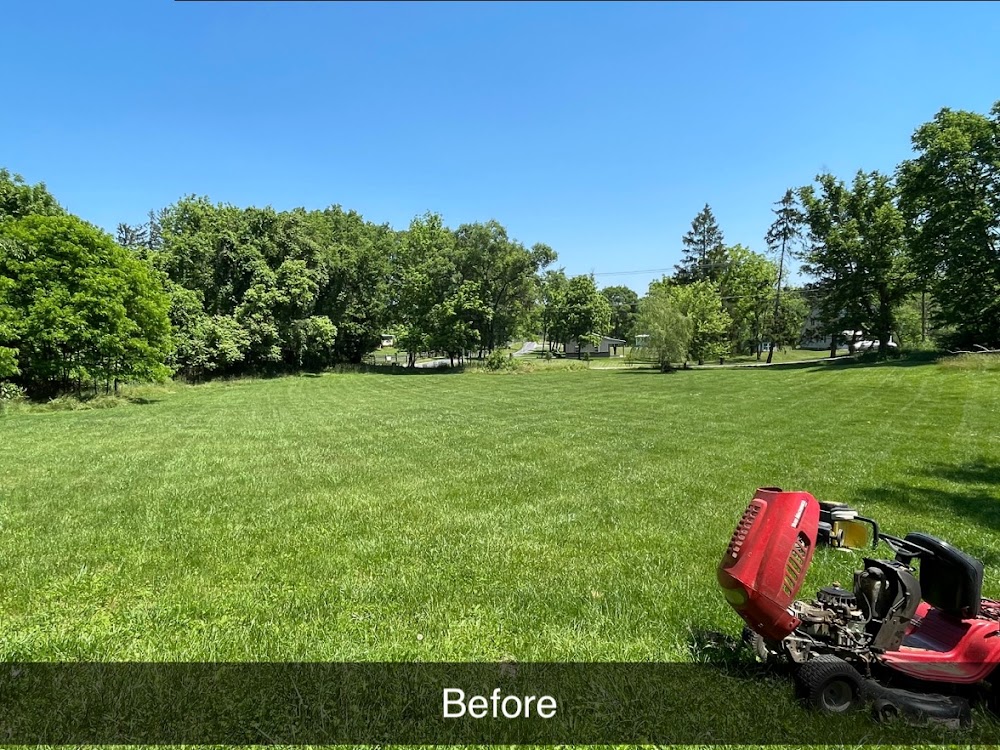 project photo