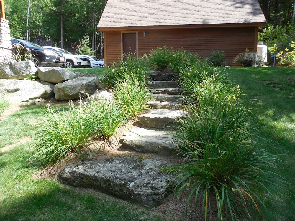 Paradis Landscape work