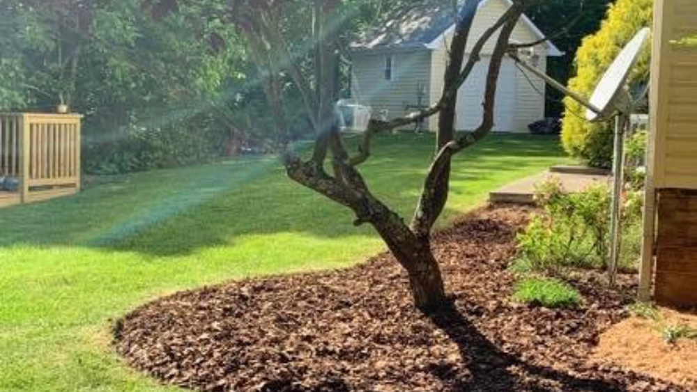 Tri-State Landscaping  work
