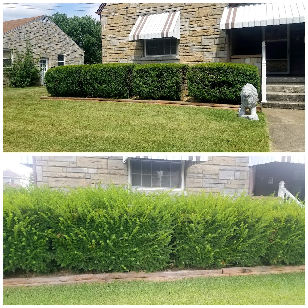 Triple L Lawns Landsca work