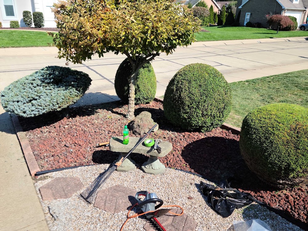 project photo
