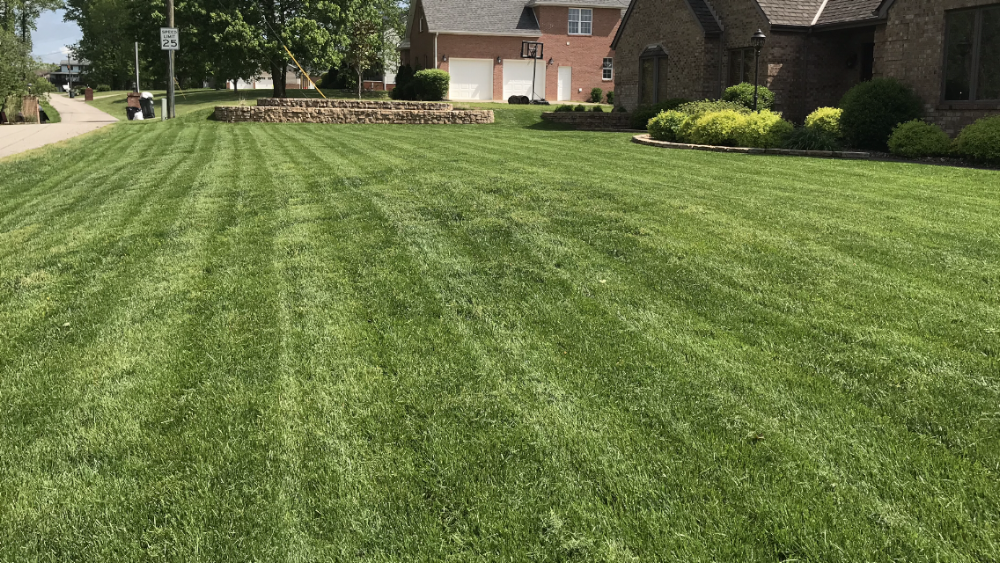 United Lawn Care and L work
